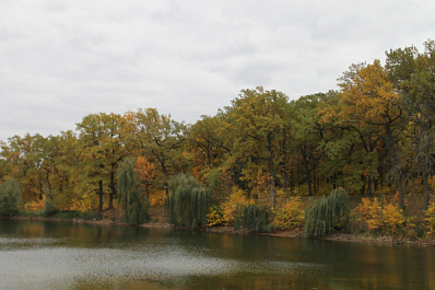 Волонтёры очистили берега озера в Волжском районе 