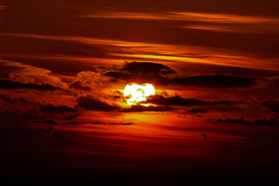 На Солнце назревает вспышка высшего класса