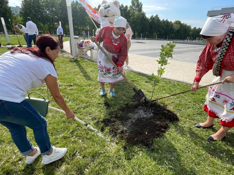 В Тольятти в Международный день дружбы высадили новые деревья