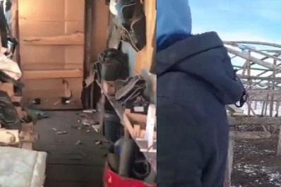 В Самарской области в теплицах нашли мигрантов-нелегалов