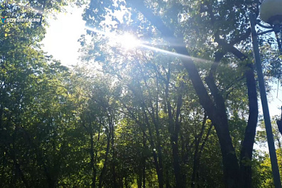 Самарский врач-терапевт рассказала, как метеозависимым людям подготовиться к изменениям погоды