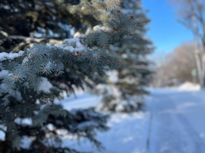 В Самарской области 13 января ожидается сильный снег