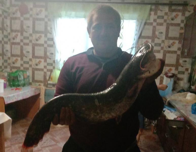 Самарский рыбак поймал 25 килограммов подлещика на поплавок