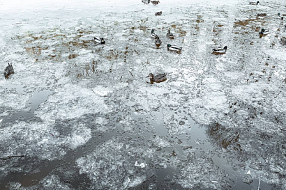 Название статьи