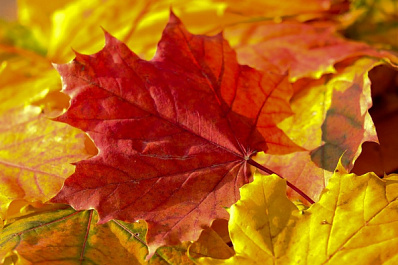 И снова тепло: на выходных в Самарской области температура воздуха поднимется до +16 °C