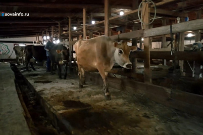 Название статьи