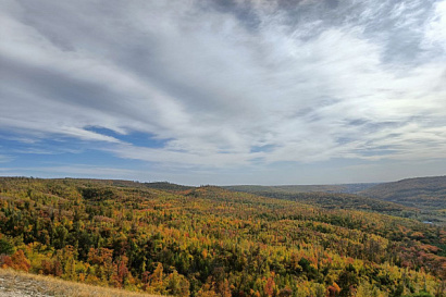Название статьи
