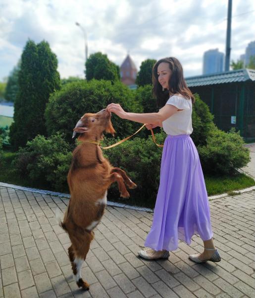 Завтра в Самаре можно будет поиграть с камерунскими козами и волчонком