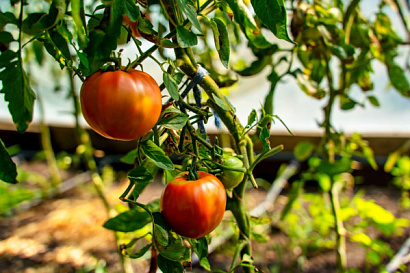 Название статьи