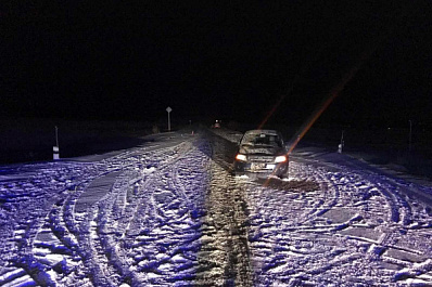 В Самарской области на трассе водитель сбил двух пьяных мужчин