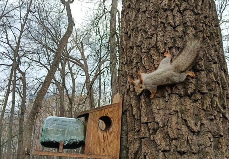 Погода на 17 октября 2025 года: народные приметы и прогноз синоптиков