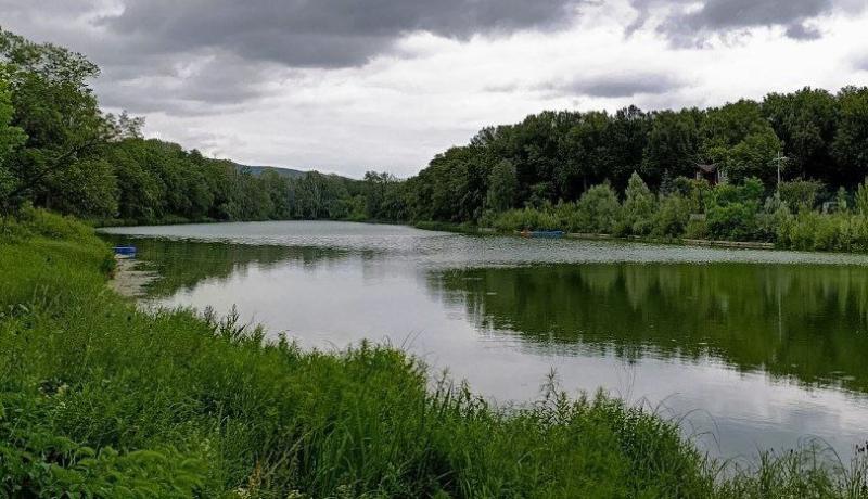 Экологический надзор работает на месте загрязнения реки Падовки в Кинельском районе