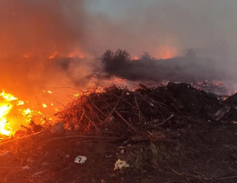 В Самарской области вспыхнул мусор на 200 "квадратах"