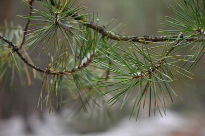 Название статьи