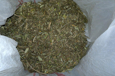 Житель Тольятти получит три года за 15 г марихуаны