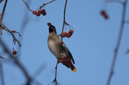 Название статьи