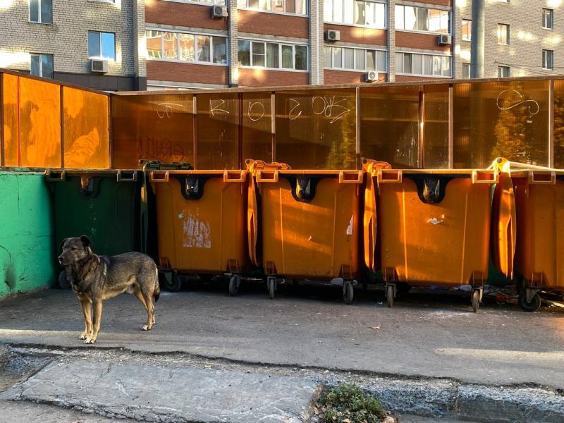 Смена оператора по обращению с ТКО в Самарской области была под угрозой срыва