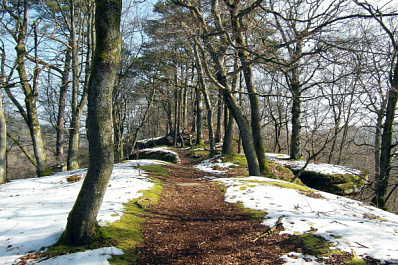 Стало известно, когда в центральную Россию придет весна