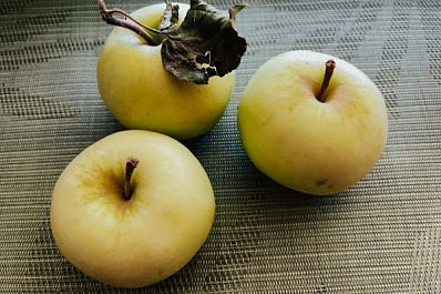 По низкой цене: в Самаре опубликовали результаты ежедневного продуктового мониторинга