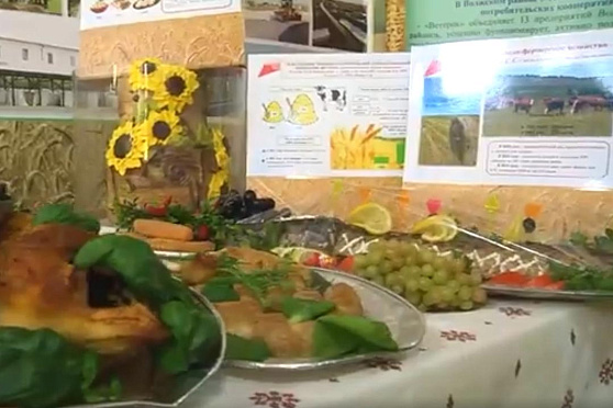 Гордость сельхозтоваропроизводителей и гуманитарная помощь. Хорошие новости Волжского района