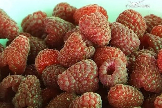 Удачные заметки 01.08.2017. Неприхотливый сорт малины и готовимся ко второму урожаю клубники