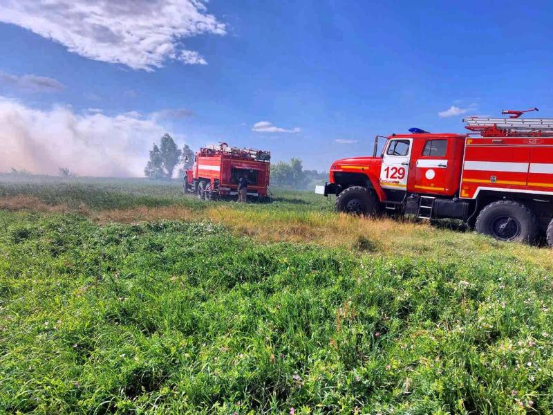 В Кошкинском районе горят 200 "квадратов" сухой травы