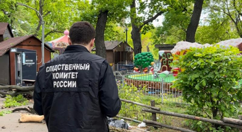 Опасно для жизни: в России участились трагедии в парках отдыха