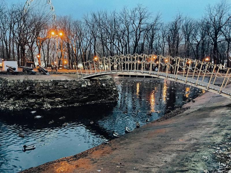 В Самаре в парке Гагарина заметили нашествие уток