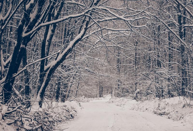 В национальном парке "Самарская Лука" дружная весна "развезла" зимник