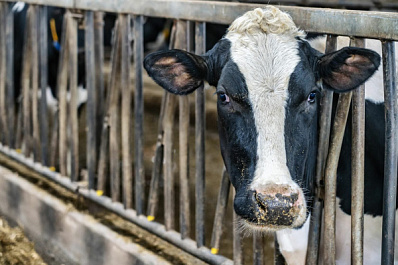 Народные приметы на 18 февраля 2025 года: что нельзя делать в этот день