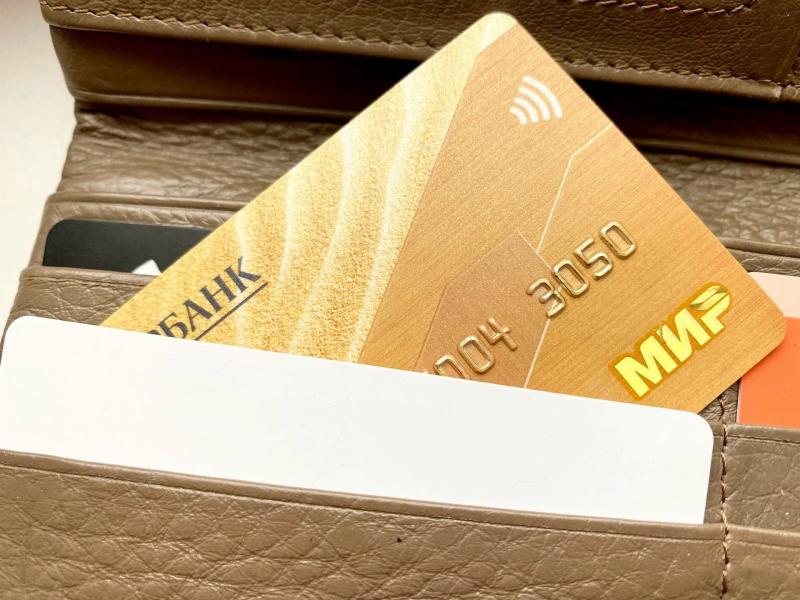 В Госдуме предложили убрать комиссию за банковские операции с картами "МИР"