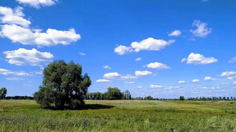 Август в Самарской области будет аномально жарким