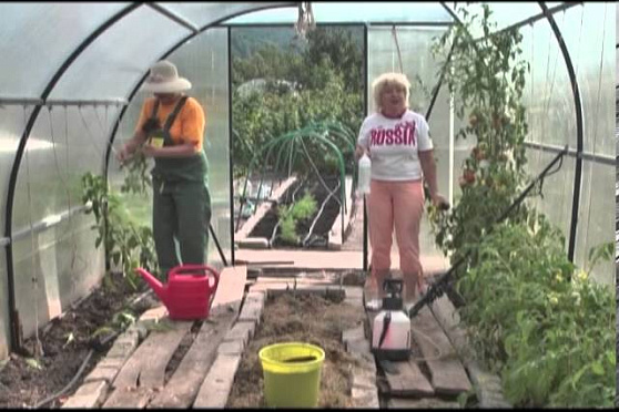 Дачные советы 22.08.2013 