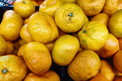 В Роскачестве рассказали, какие фрукты самые полезные