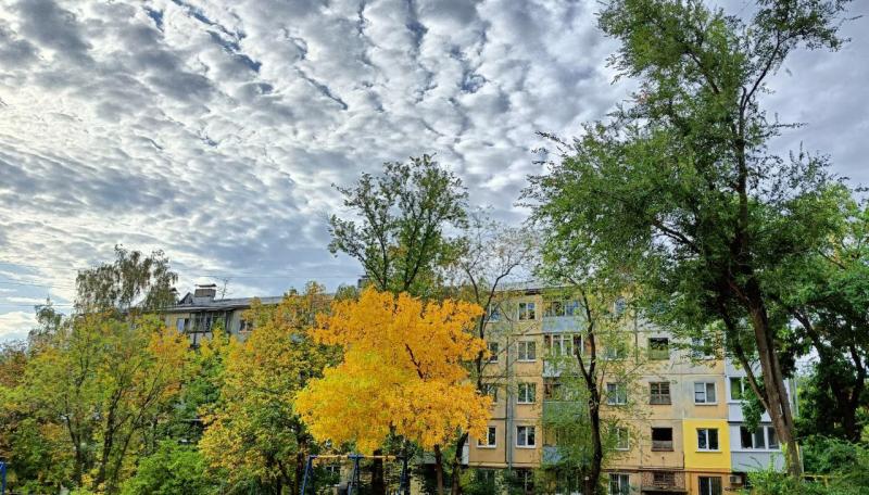 Днем 29 сентября в Самарской области будет умеренно тепло