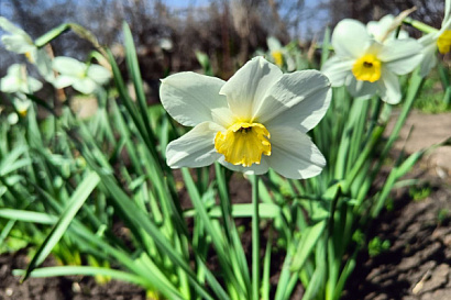 Название статьи