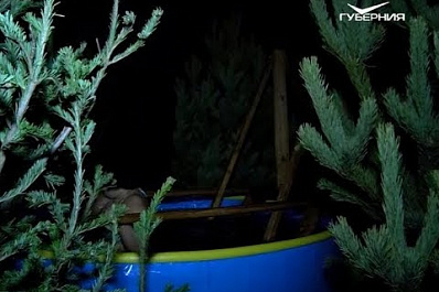 Экстремальное закаливание или священный обряд: 2 млн россиян искупались в ледяной воде на Крещение