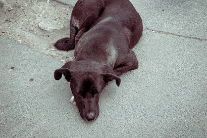 Название статьи