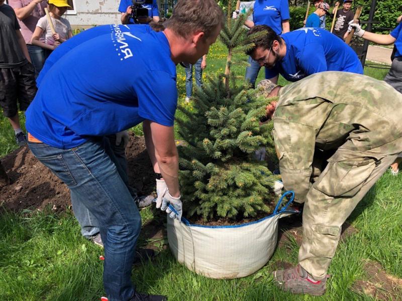 "Губерния" высадила в Тольятти голубые ели