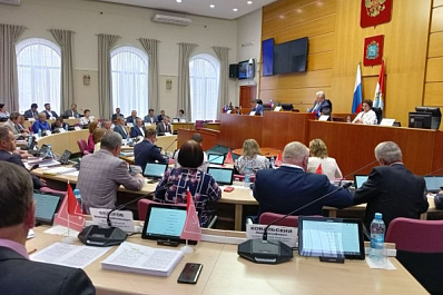 Куда направят дополнительные средства бюджета Самарской области: депутаты приняли решение