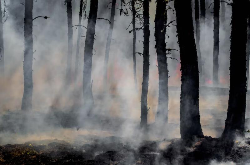 Тушить крупные природные пожары под Оренбургом направились сотрудники самарского МЧС
