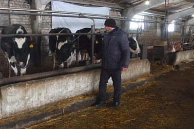 Благодаря мерам господдержки самарские фермеры увеличивают объемы производства