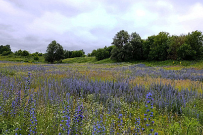 Название статьи