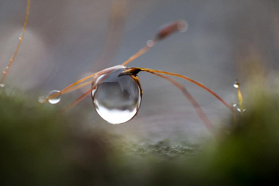 30 градусов жары и дожди задержатся в Самарской области до конца недели