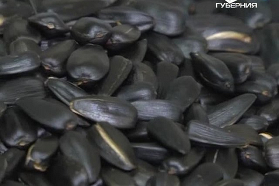 Сохраняйте чек 15.05.2016