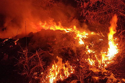 Название статьи