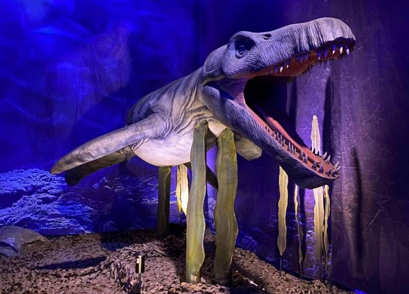 В Самаре дети из семей вынужденных переселенцев увидели "Динозавров морских глубин"