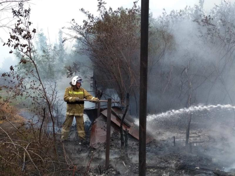 В селе Самарской области вспыхнула трава на 100 "квадратах"