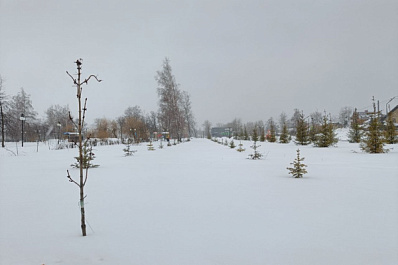 12 марта в Самарской области будет пасмурно