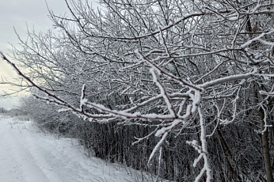Погода на 3 марта 2025 года: народные приметы и прогноз синоптиков